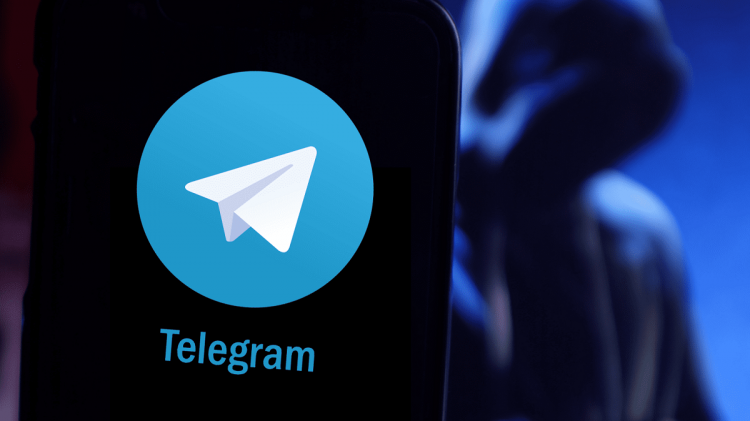 图片[1]-Telegram 服务器出现大范围的宕机！导致大量用户无法正常使用电报-零度博客