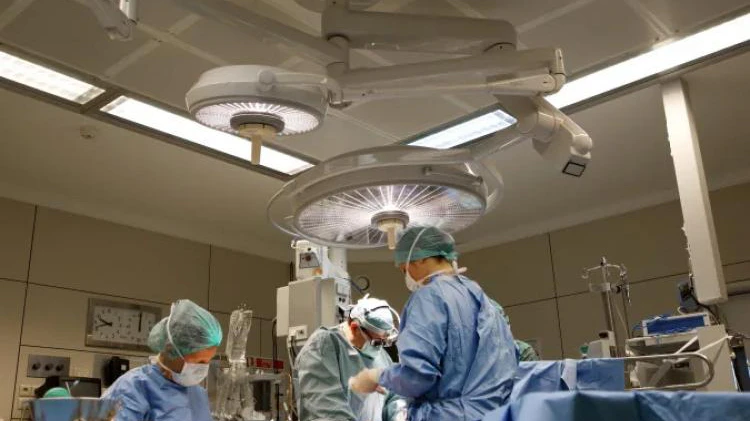 国外医生成功将猪心脏，移植到人类患者体内！术后病人情况良好-零度会员