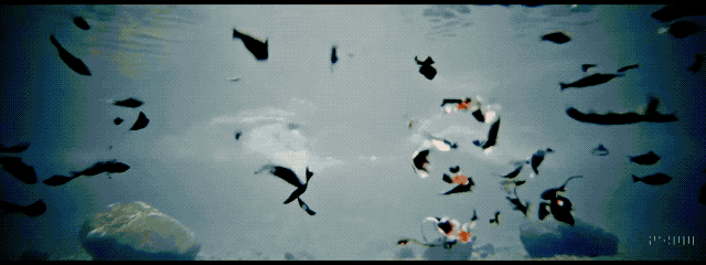 图片[2]-Sora 刚刚发布首支MV！Suno火爆全网后，OpenAI也要惊艳乐坛-零度会员