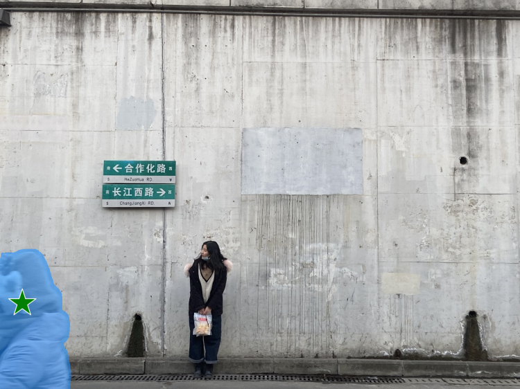 图片[4]-Inpaint Anything  修复图像、视频和3D 场景中的任何内容！开源-零度会员