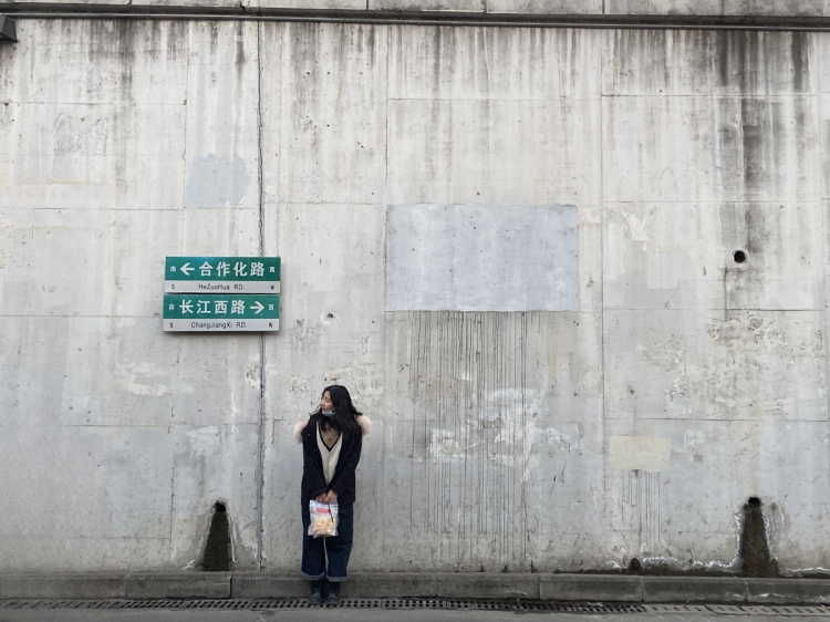 图片[5]-Inpaint Anything  修复图像、视频和3D 场景中的任何内容！开源-零度会员