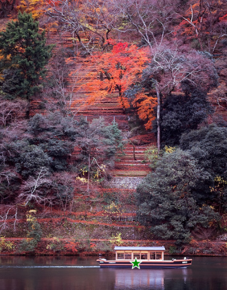 图片[9]-Inpaint Anything  修复图像、视频和3D 场景中的任何内容！开源-零度会员