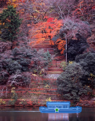 图片[10]-Inpaint Anything  修复图像、视频和3D 场景中的任何内容！开源-零度会员