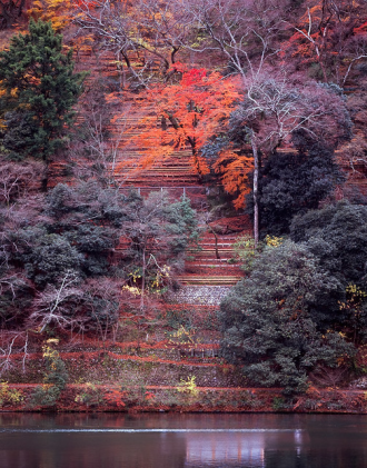 图片[11]-Inpaint Anything  修复图像、视频和3D 场景中的任何内容！开源-零度会员