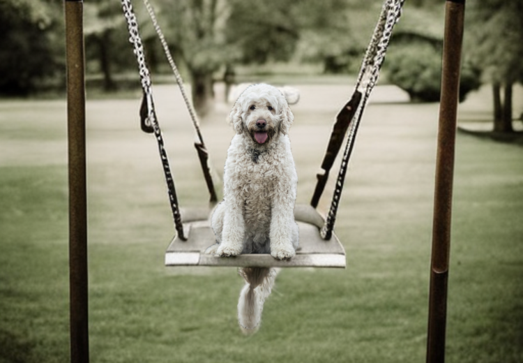 图片[31]-Inpaint Anything  修复图像、视频和3D 场景中的任何内容！开源-零度会员