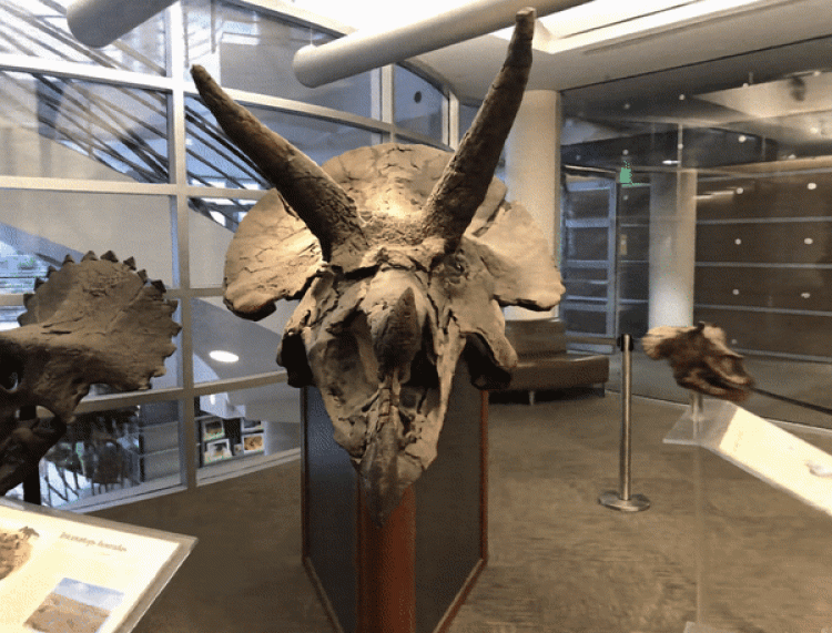 图片[41]-Inpaint Anything  修复图像、视频和3D 场景中的任何内容！开源-零度会员