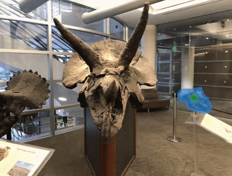 图片[42]-Inpaint Anything  修复图像、视频和3D 场景中的任何内容！开源-零度会员