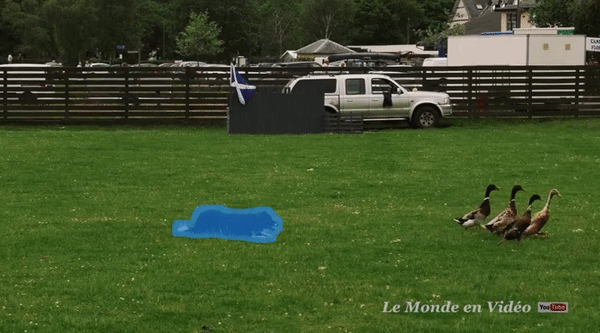 图片[60]-Inpaint Anything  修复图像、视频和3D 场景中的任何内容！开源-零度会员