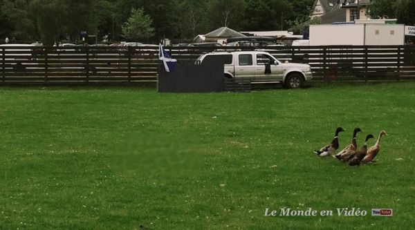 图片[61]-Inpaint Anything  修复图像、视频和3D 场景中的任何内容！开源-零度会员