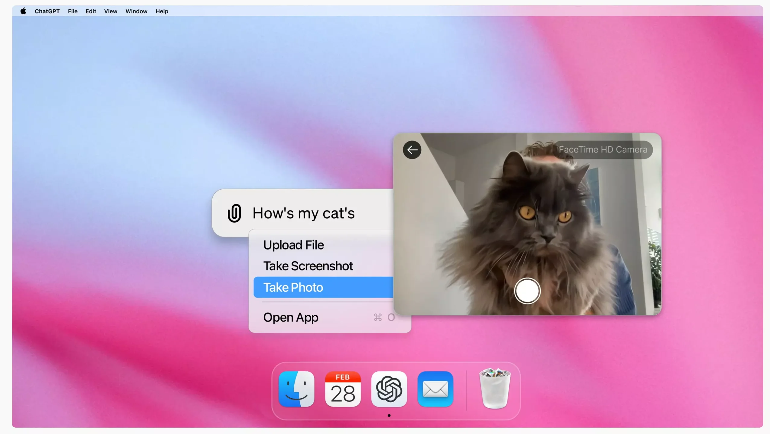 f7b4762a8420241119135916