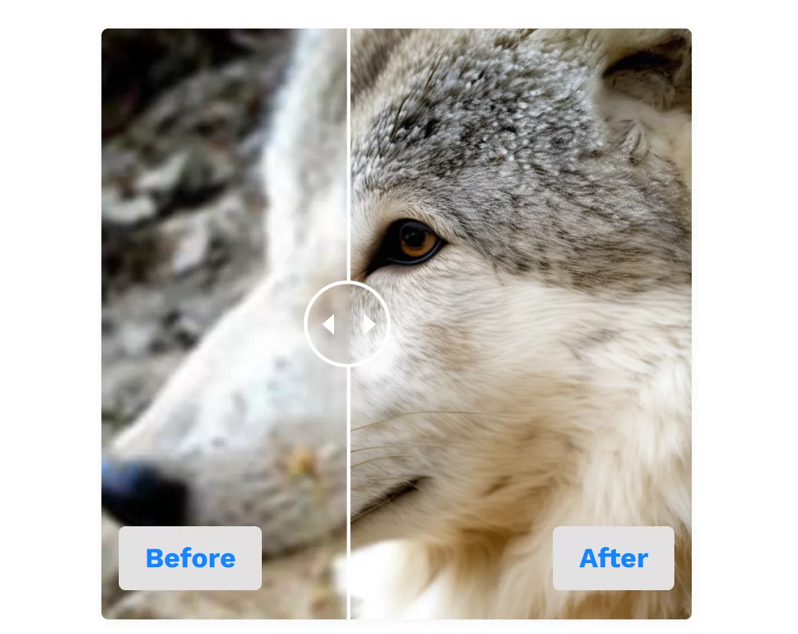 图片对比网站！轻松实现图片修改的前后对比特效-零度会员