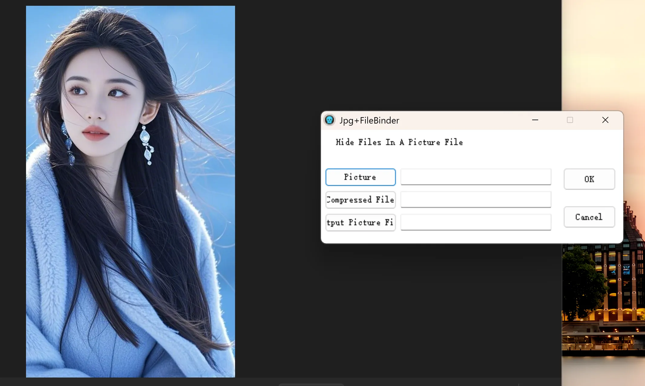 图片[1]-Jpg+FileBinder 将文件加密隐藏到图片中-零度会员