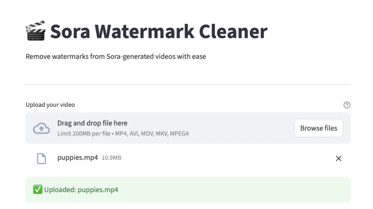 SoraWatermarkCleaner 安装教程！本地离线去Sora 2视频水印、免费开源！-零度会员