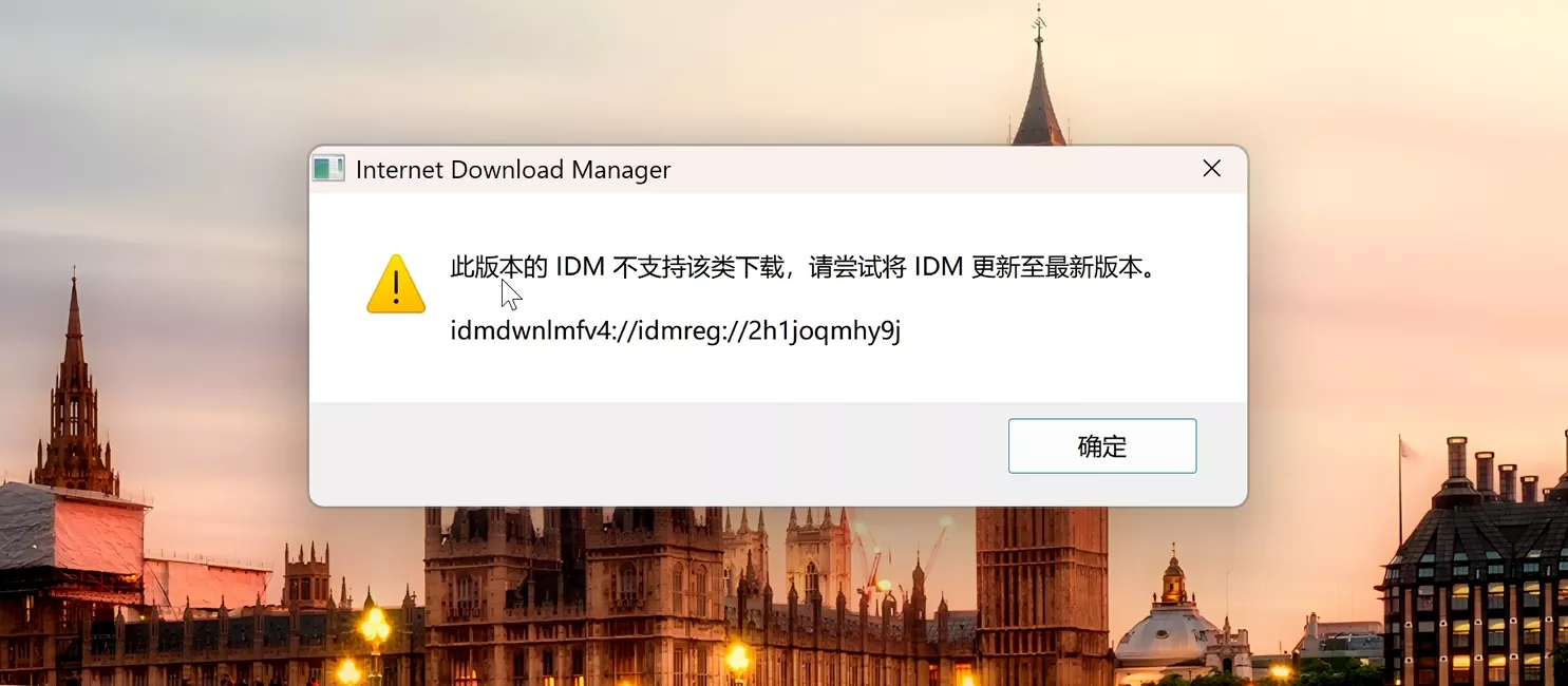 图片[2]-IDM 下载神器！6.42 免安装版，去除烦人的升级弹窗、提醒！-零度会员