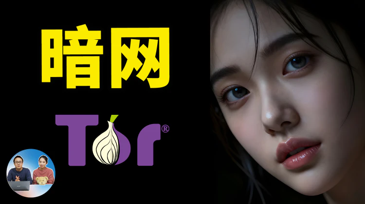 暗网到底藏了什么？普通人第一次进去会看到什么？暗网入口及搭建！完整揭秘｜零度解说-零度会员